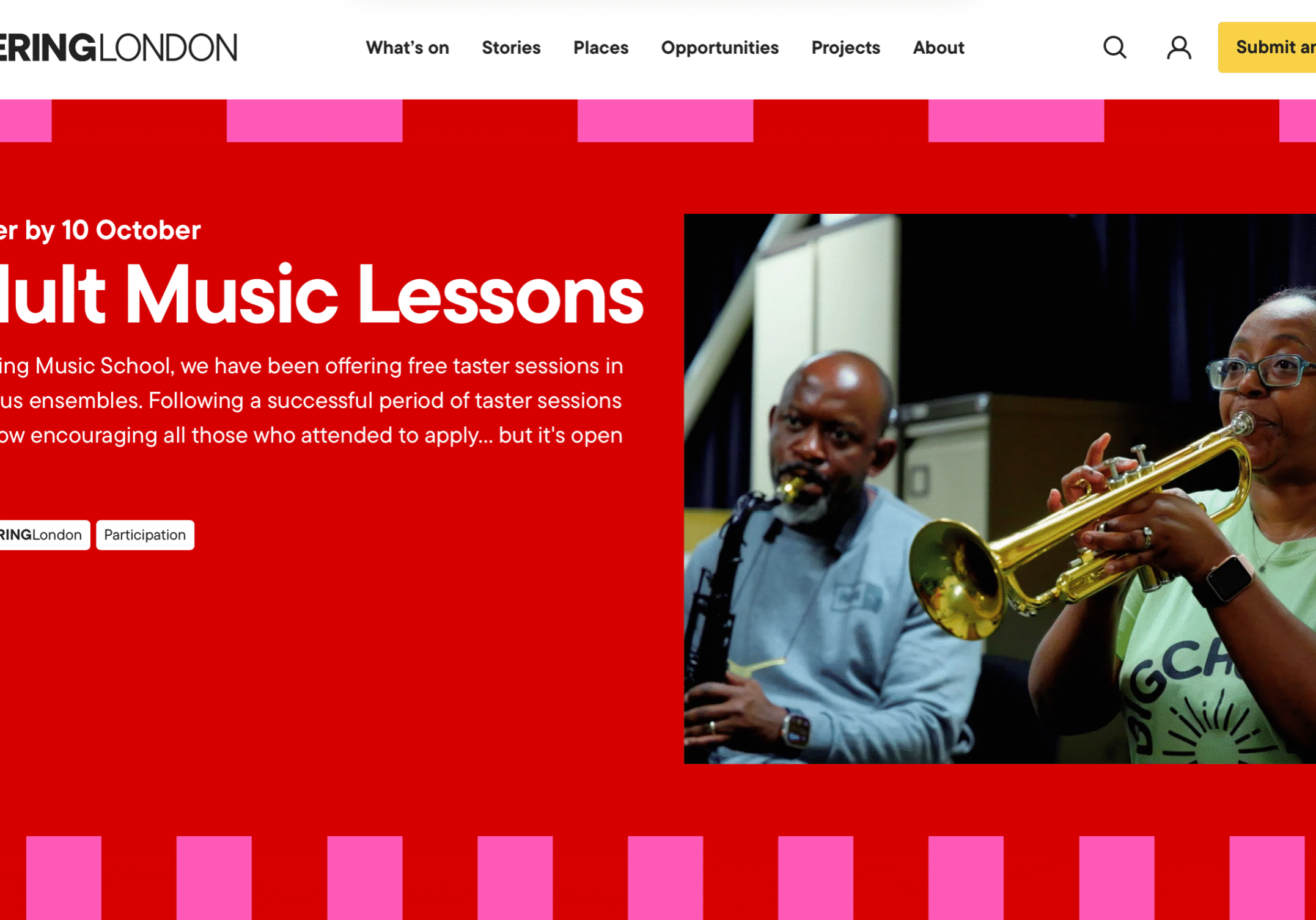 Adult Music Lessons  Havering London.jpeg